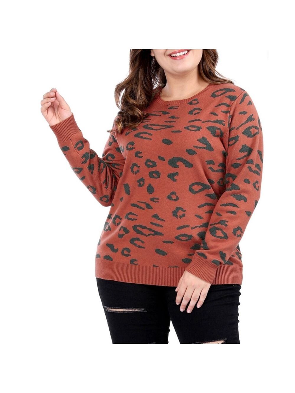 Agnes Orinda Women's Plus Leopard Print Long Sleeve Pullover Sweater - Picture 2 of 9